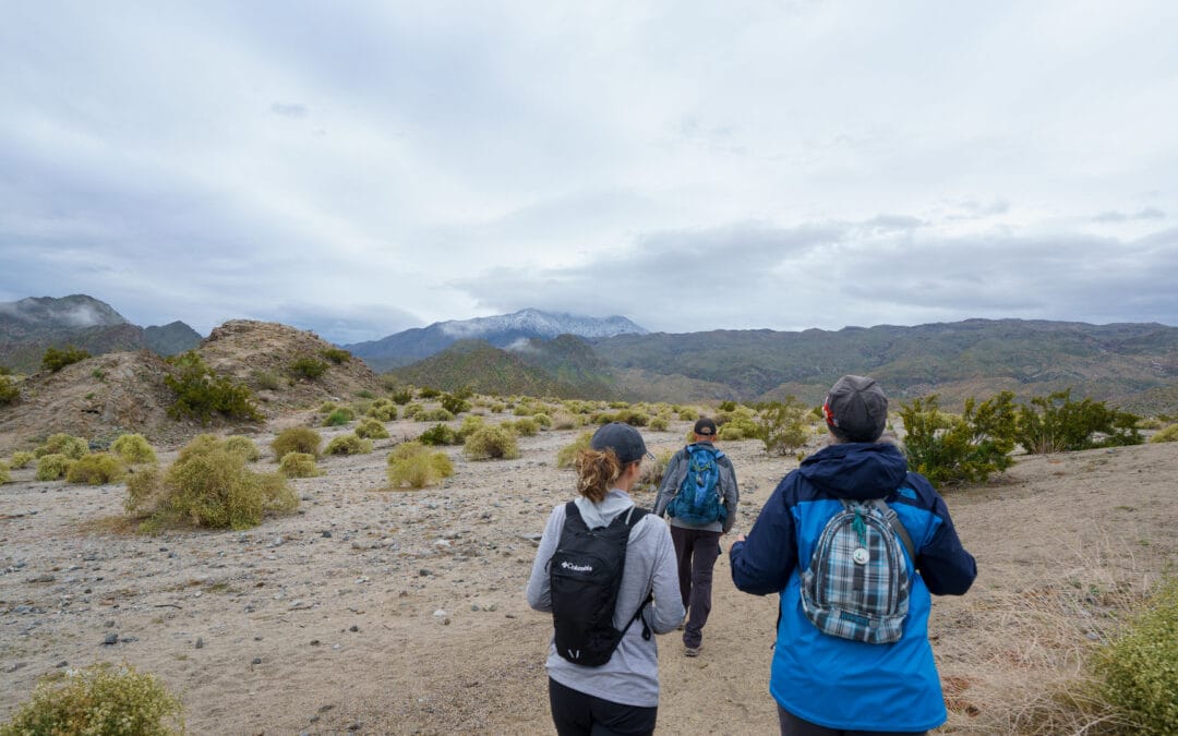 Hike of the Month: Bear Creek Oasis Trail