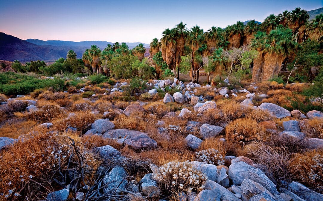 Explore the Sacred Beauty of the Indian Canyons in Palm Springs