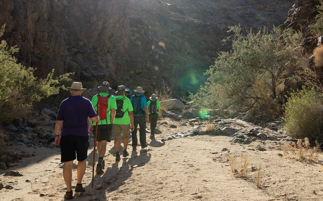 Hike of the Month: Carrizo Canyon Trail