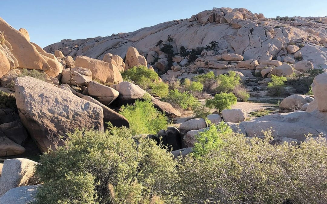 Hike of the Month: Barker Dam Trail