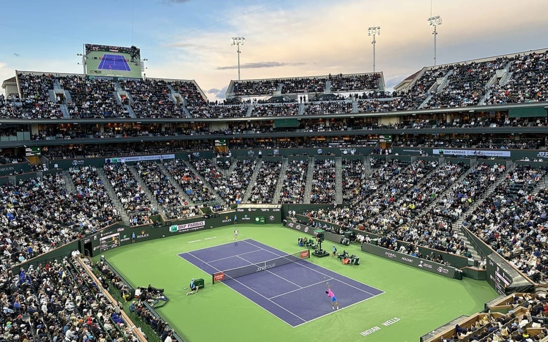 BNP Paribas Open Highlights Included Bees, Rain, Incognito Players