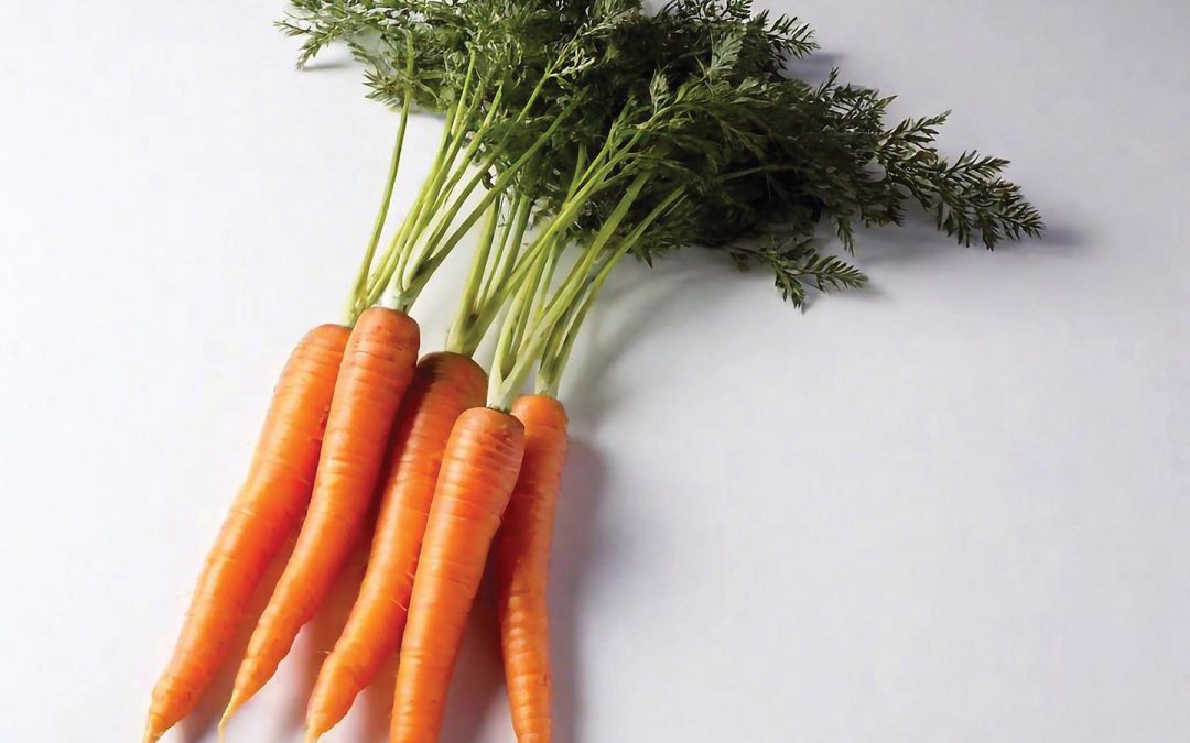 You Are What You Eat: How Nutrition Impacts Your Ability to See