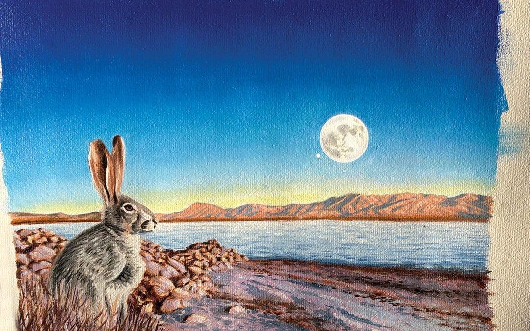 Sky Watch: The Disappearance of Mars