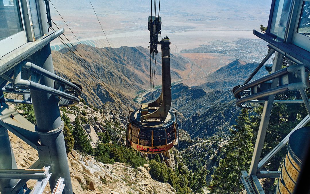 Get to Know 10 of This Year’s Best of the Best Winners