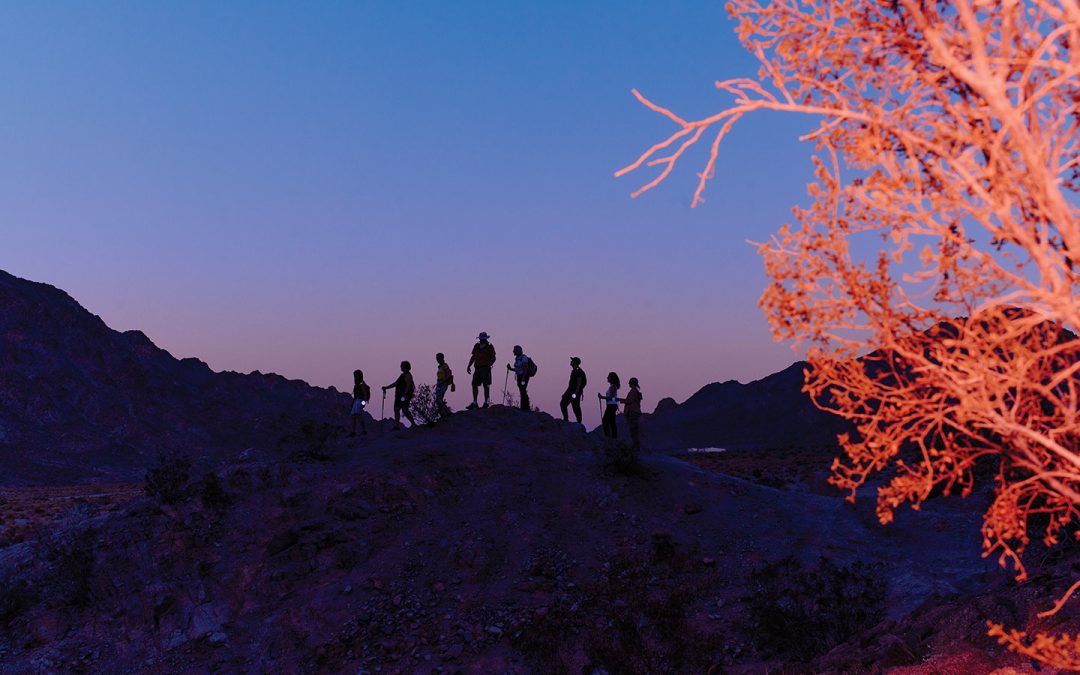 Best of the Best 2025: Readers’ Favorite Things in Greater Palm Springs