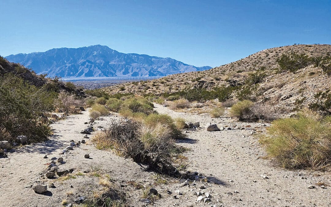 Hike of the Month: Swiss Canyon Trail in Desert Hot Springs