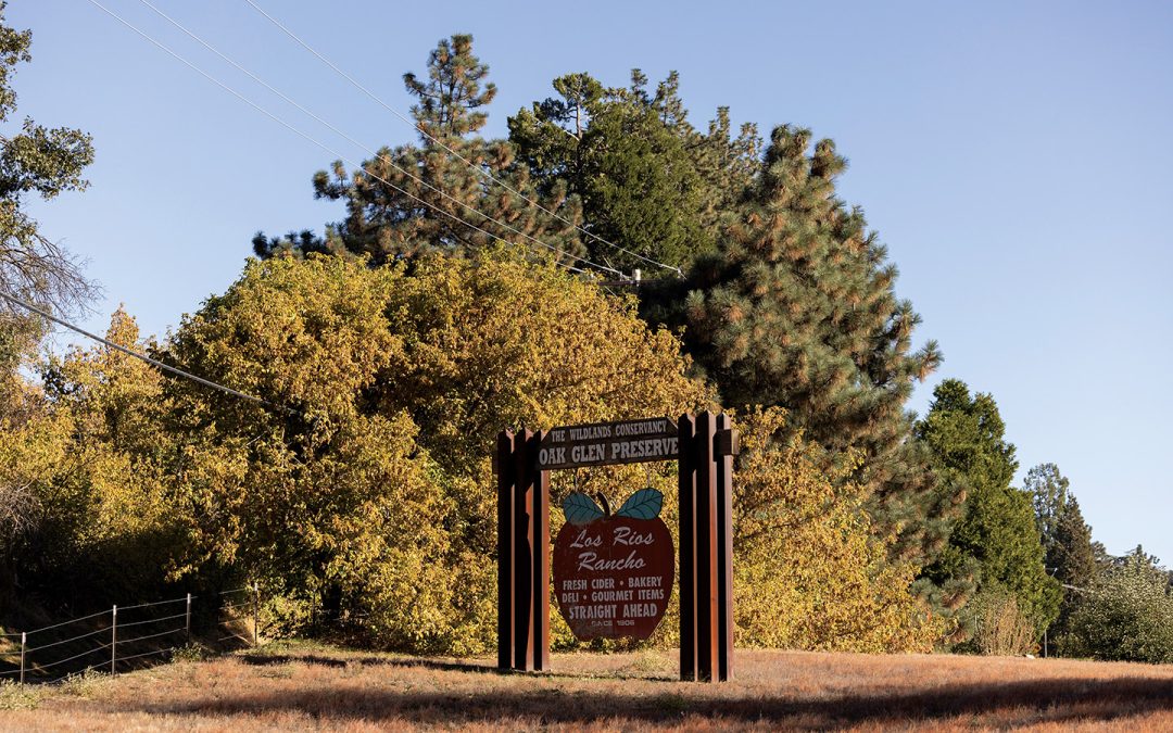 How to Go Apple-Picking at Los Rios Rancho in Oak Glen