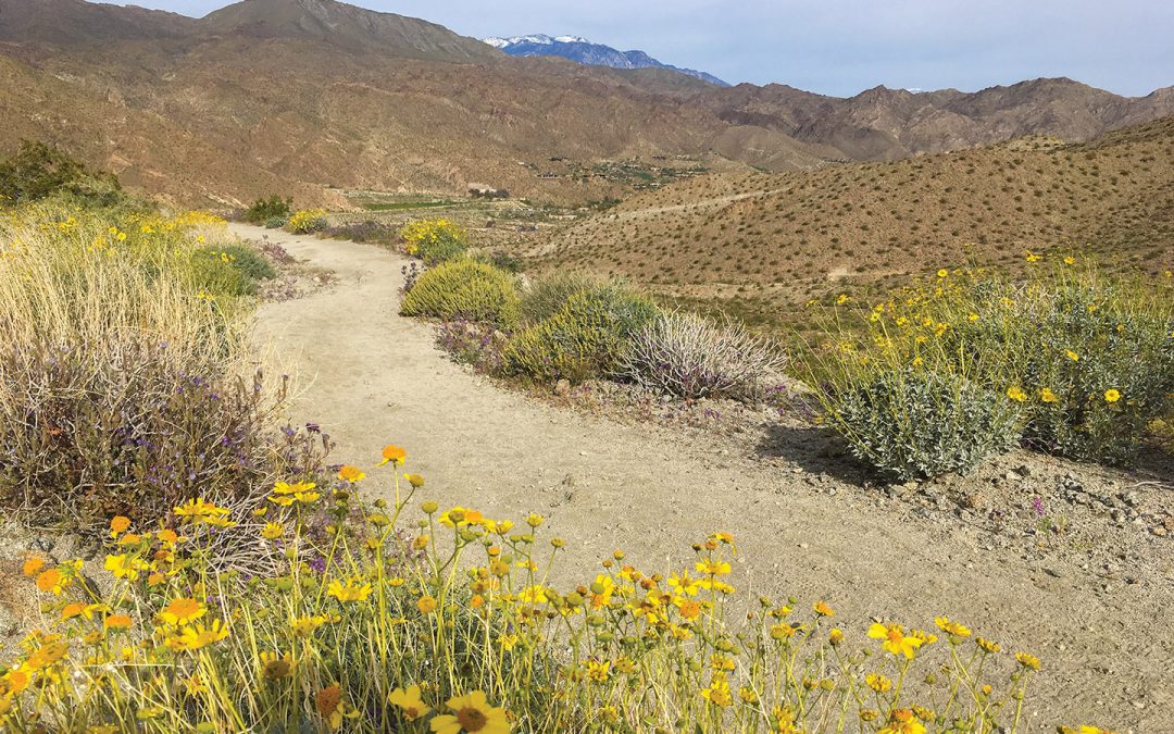 Hike of the Month: Randall Henderson Loop Trail