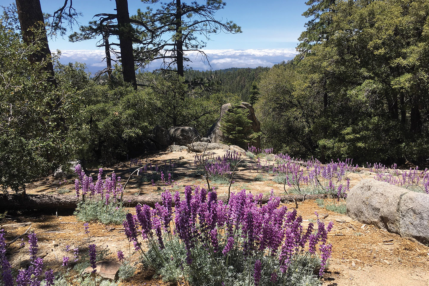 GPS19_HikingTrails_181 cc