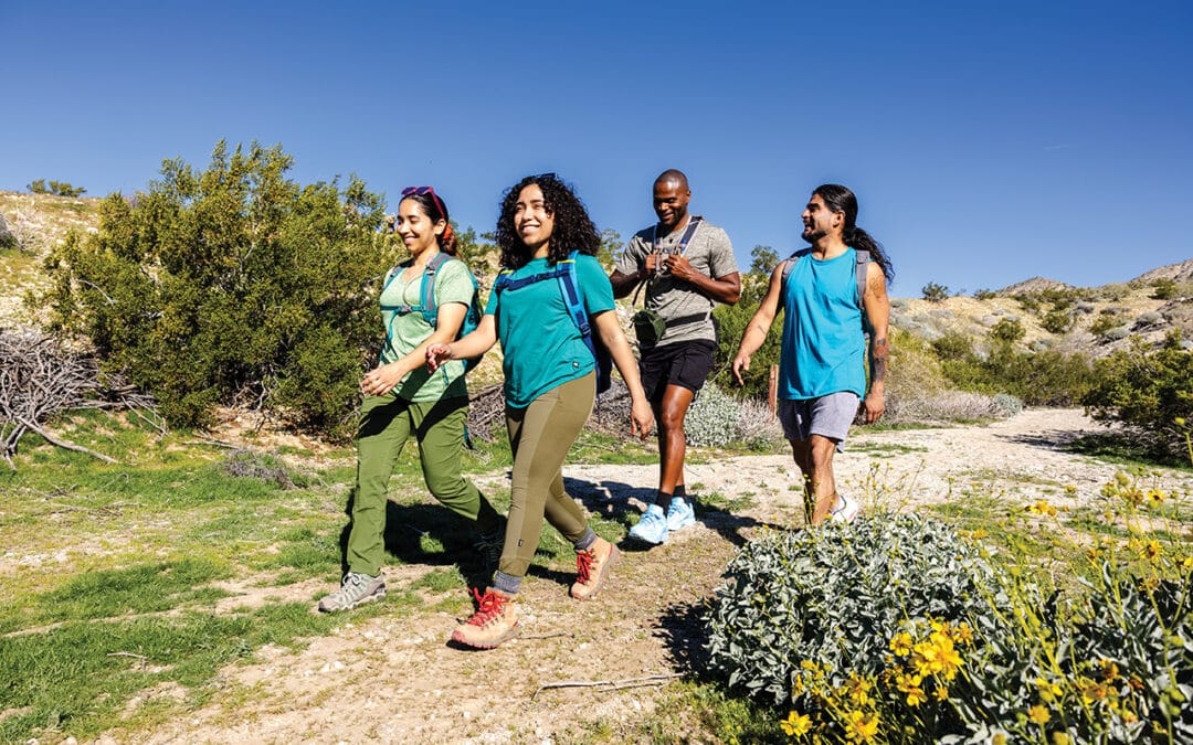 Uncover the Outdoor Wonders of Desert Hot Springs