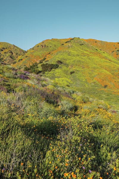 highdesertcalifornia