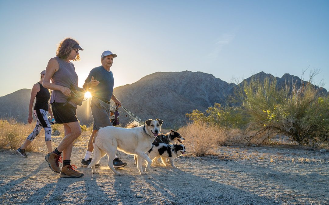 How to Spend a Weekend in La Quinta: What to Eat, See, and Do
