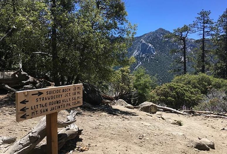 Side Trips: Head up to Idyllwild