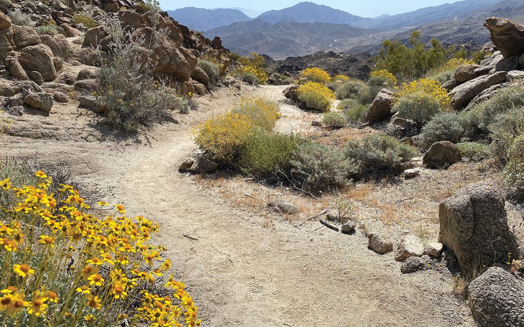 Hike of the Month: Art Smith Trail
