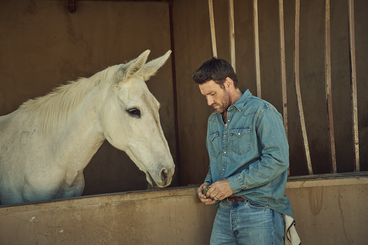 Joel Edgerton on Perspective, Purpose, and Netflix’s Train Dreams