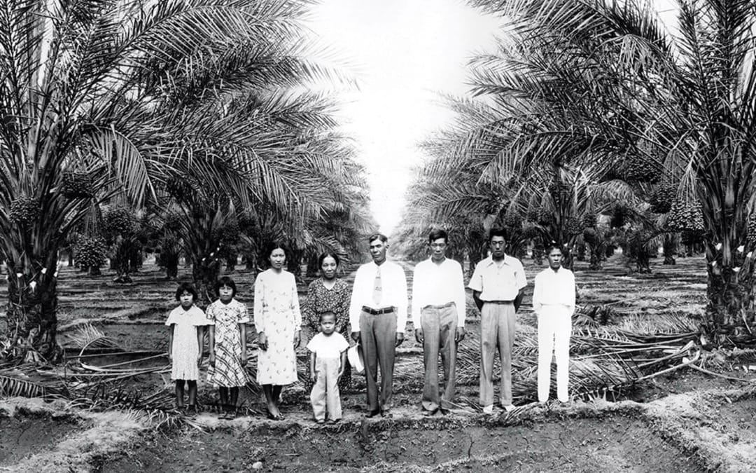 How Japanese American Farmers Seeded Coachella Valley Agriculture