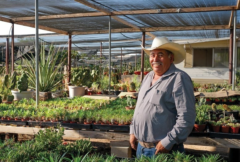 Desert Hot Springs: Things to Do