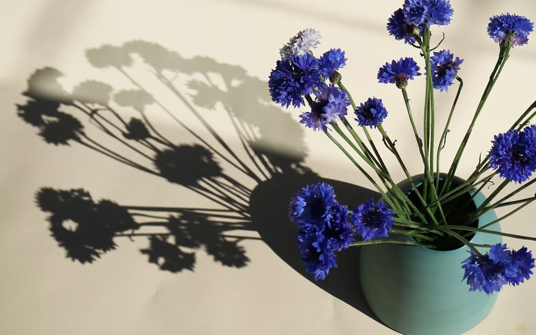 10 Modern Minimalist Home Décor Finds in Greater Palm Springs