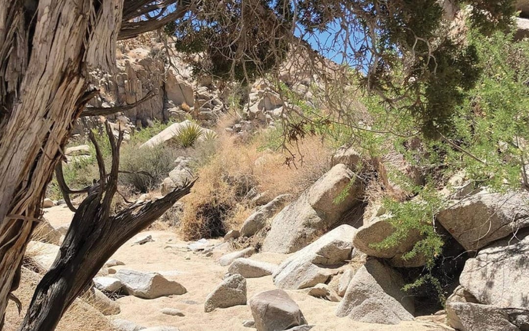 Hike of the Month: North Canyon Loop