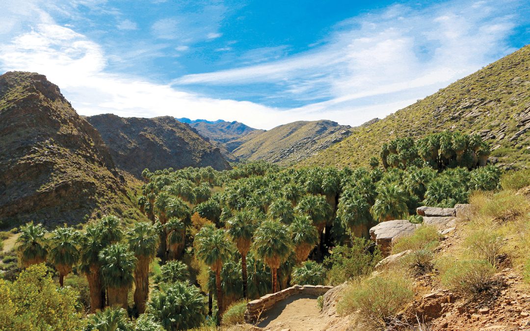 Discover Scenic Trails at Indian Canyons, Minutes From Downtown Palm Springs