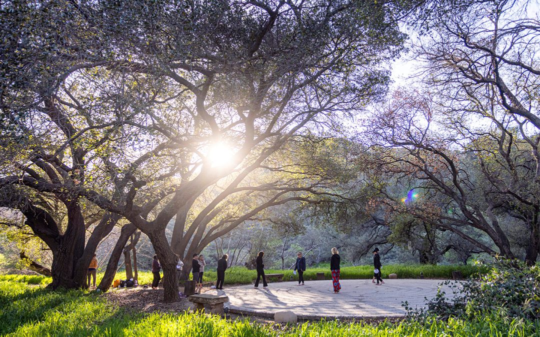 Where Nature, Tranquility, and Vacation Converge