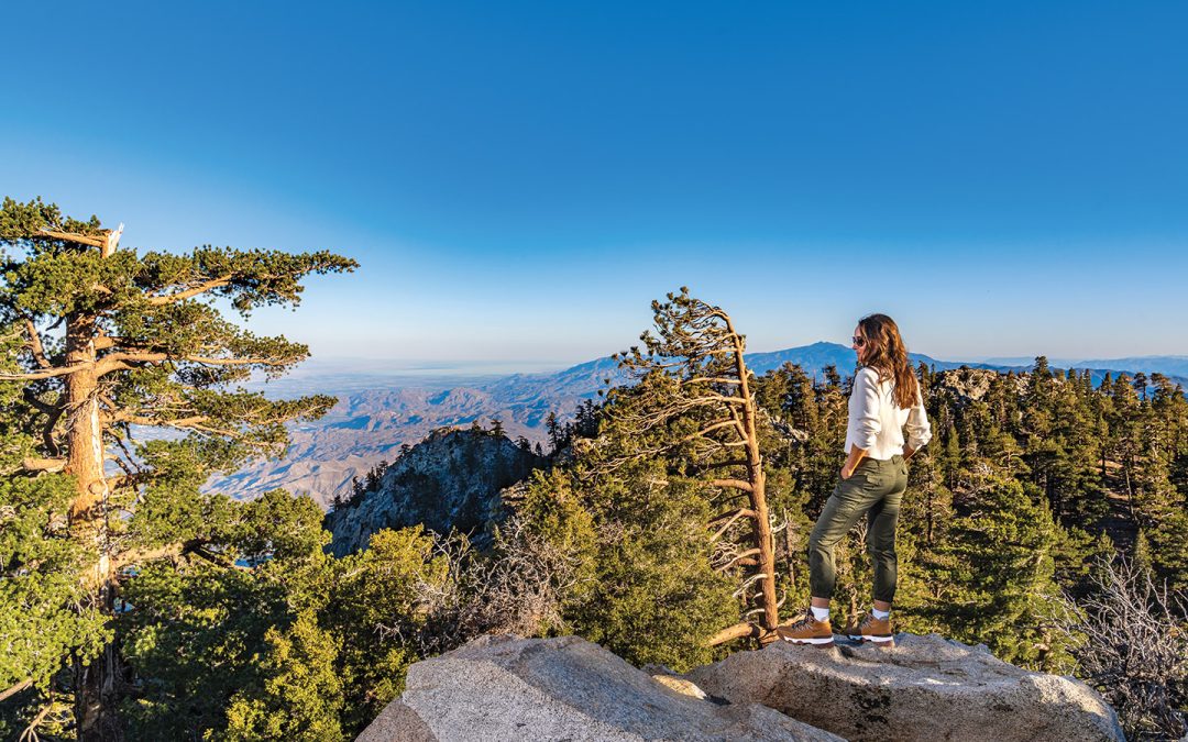 13 Landmarks to Visit in Greater Palm Springs