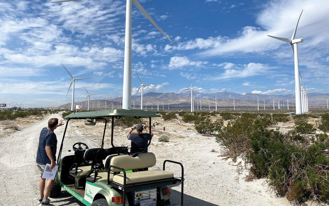 6 Fun Things to Do in Palm Springs With Friends or Family