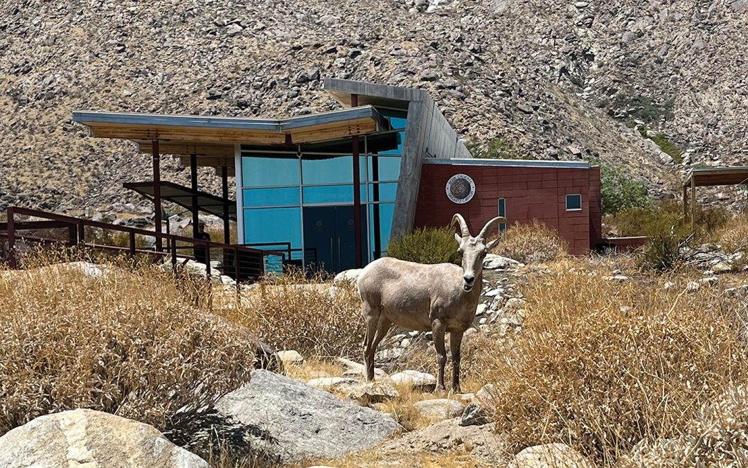 Hiking at Tahquitz Canyon in Palm Springs on Sacred Land