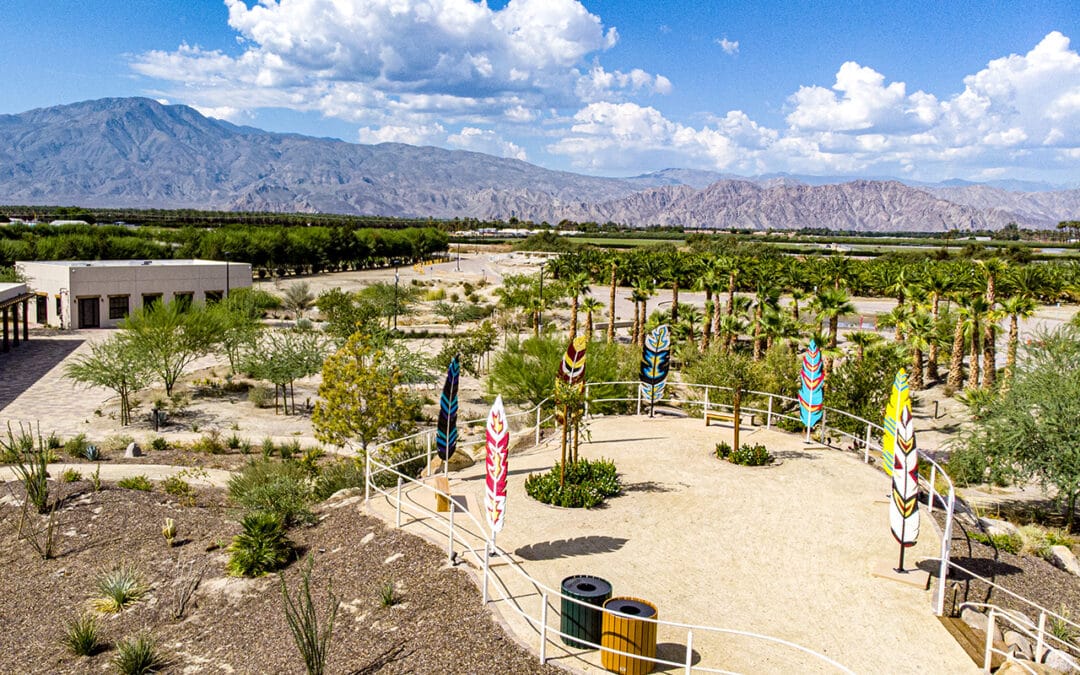 6 Best Guided Tours in the Coachella Valley