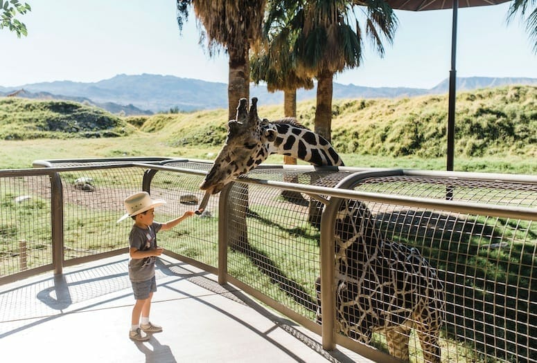 Best Places to Occupy Kids