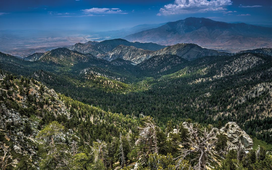 How Conservationists Are Fighting to Keep the Desert Wild