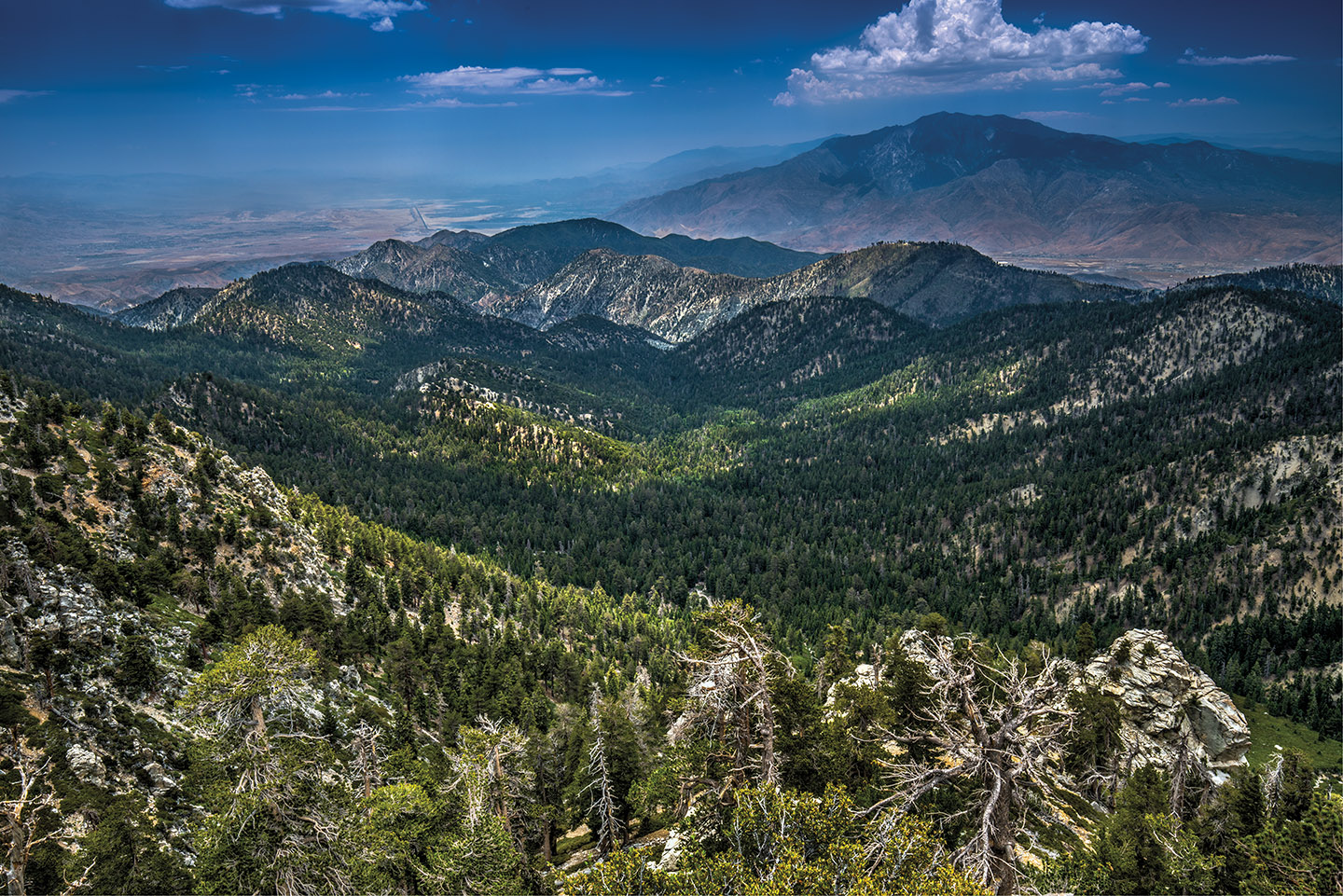 How Conservationists Are Fighting to Keep the Desert Wild